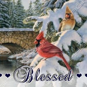 Meet your Posher, Sherry ellis